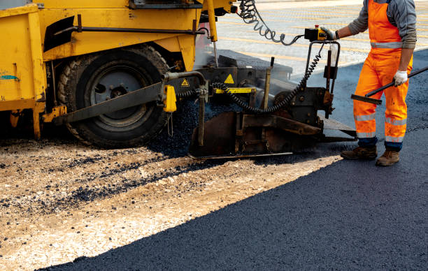 Best Driveway Border and Edging  in Webster, FL